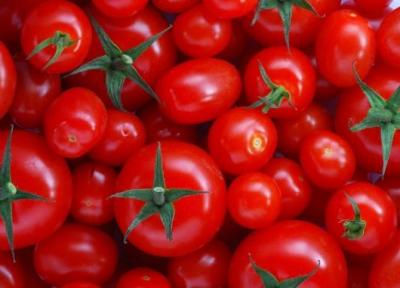 18 علت مهم برای اینکه بیشتر گوجه بخورید